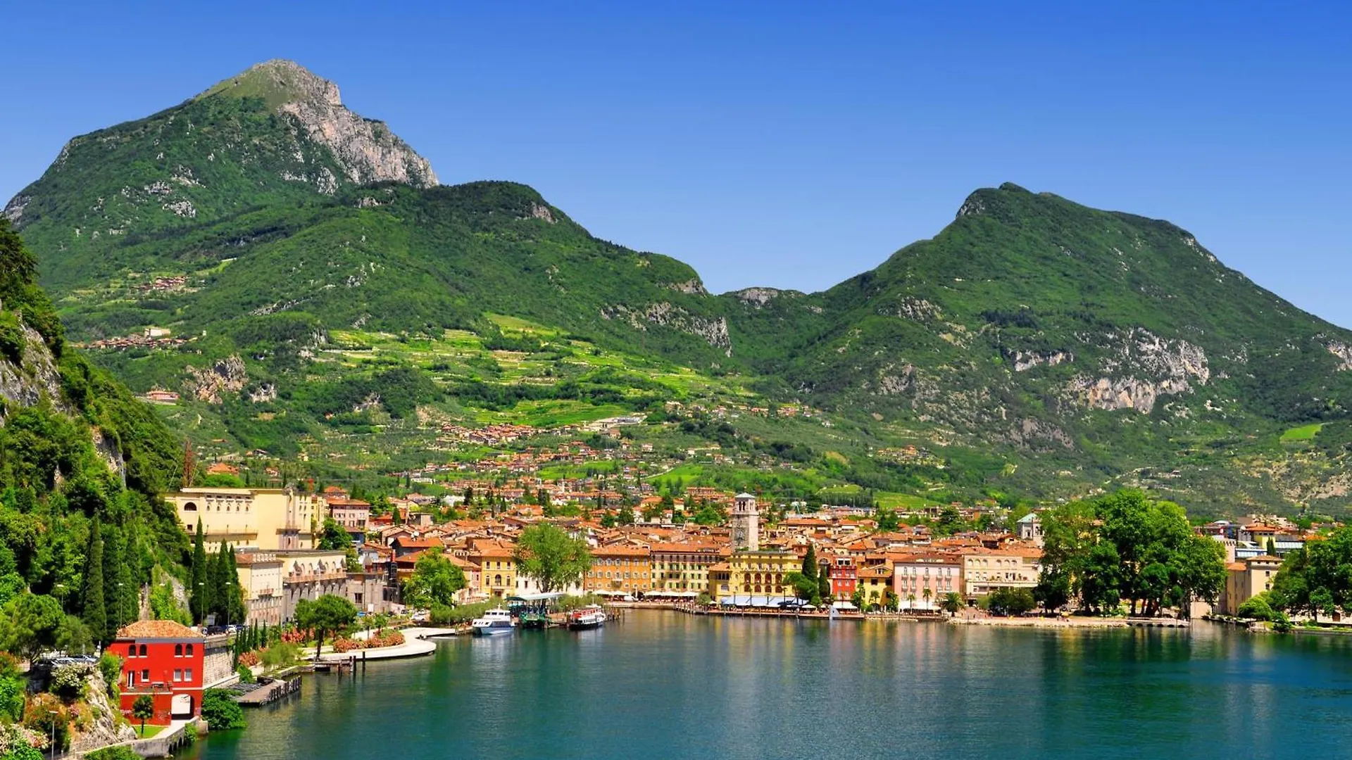 Apartment Tulipano Apt - Palazzo Palermo 1817 - Happy Rentals Salionze